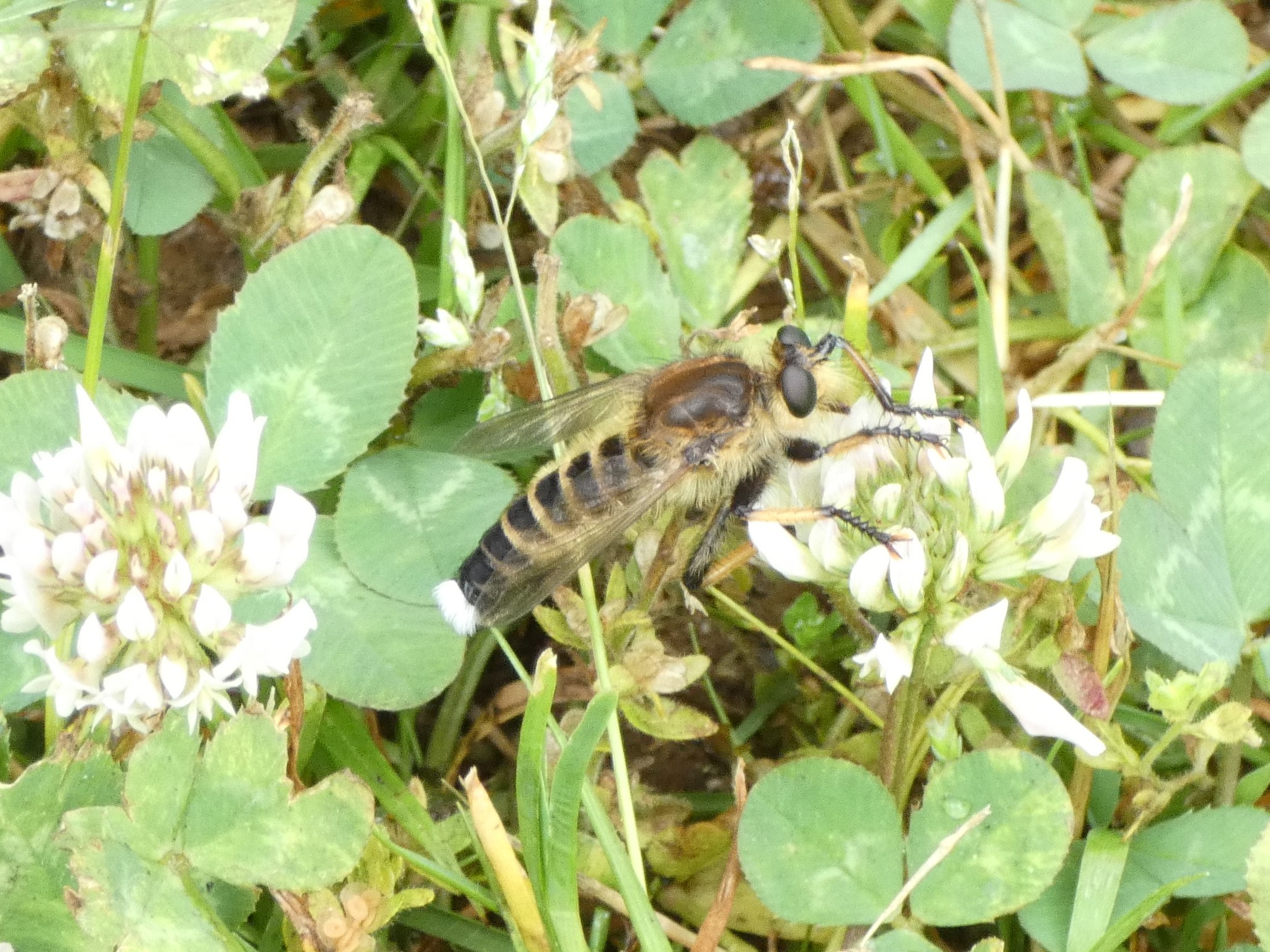 photo_1
